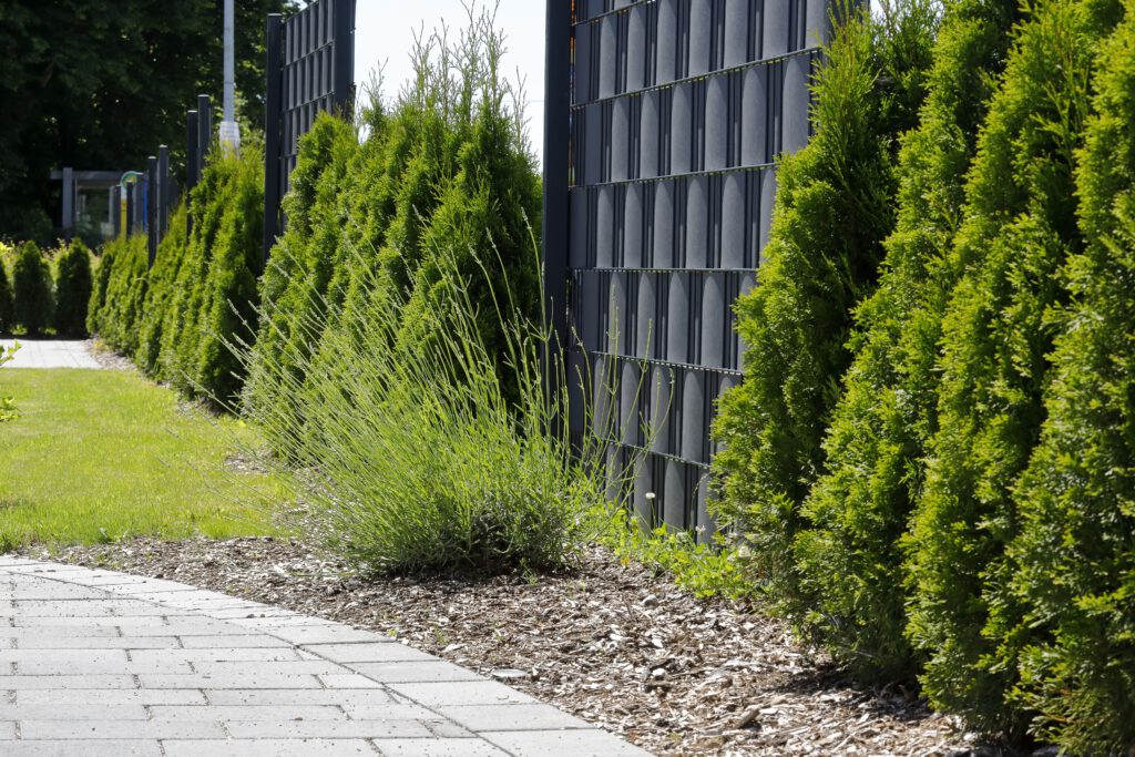 Da Silva_Auf_der_Hoeh_17