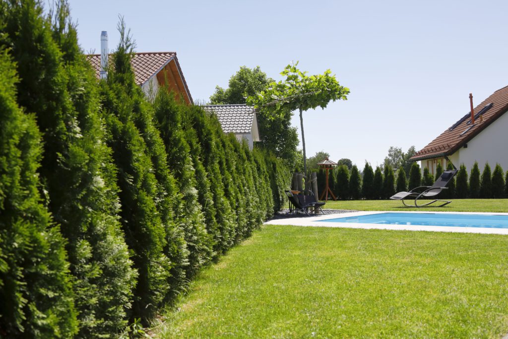 Da Silva_Auf_der_Hoeh_18