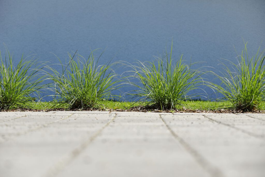 Da Silva_Auf_der_Hoeh_19