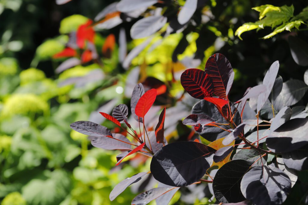 Da Silva_Fugelstrasse_09