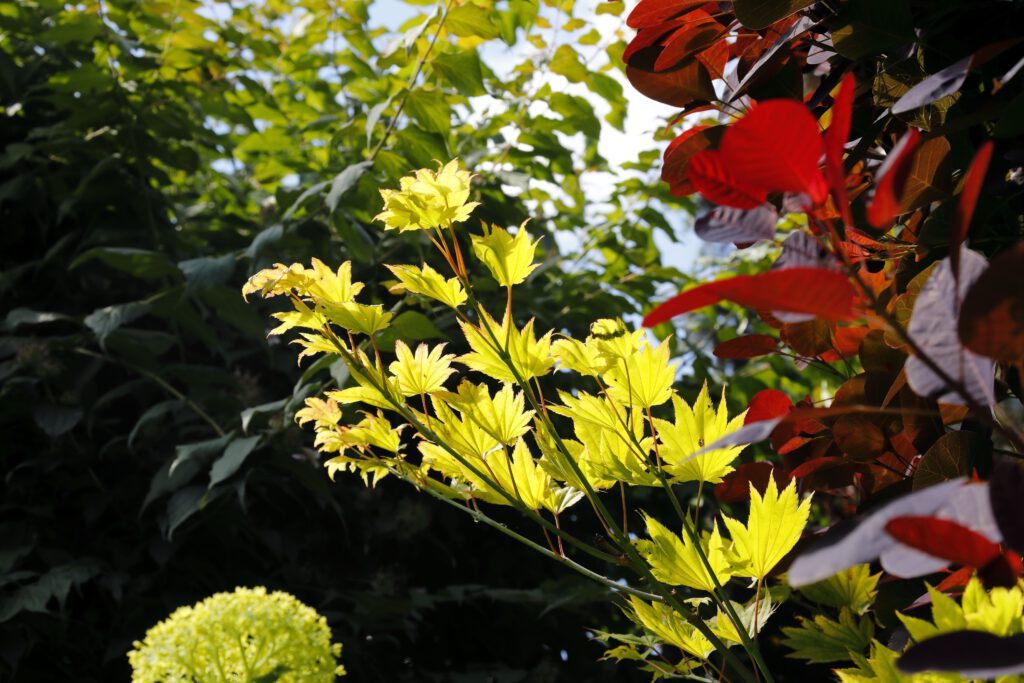 Da Silva_Fugelstrasse_12