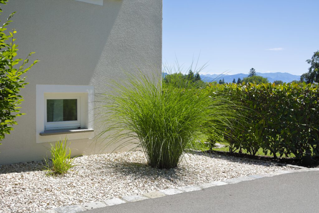 Da Silva_Preisingerweg_07