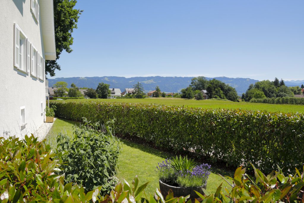 Da Silva_Preisingerweg_08