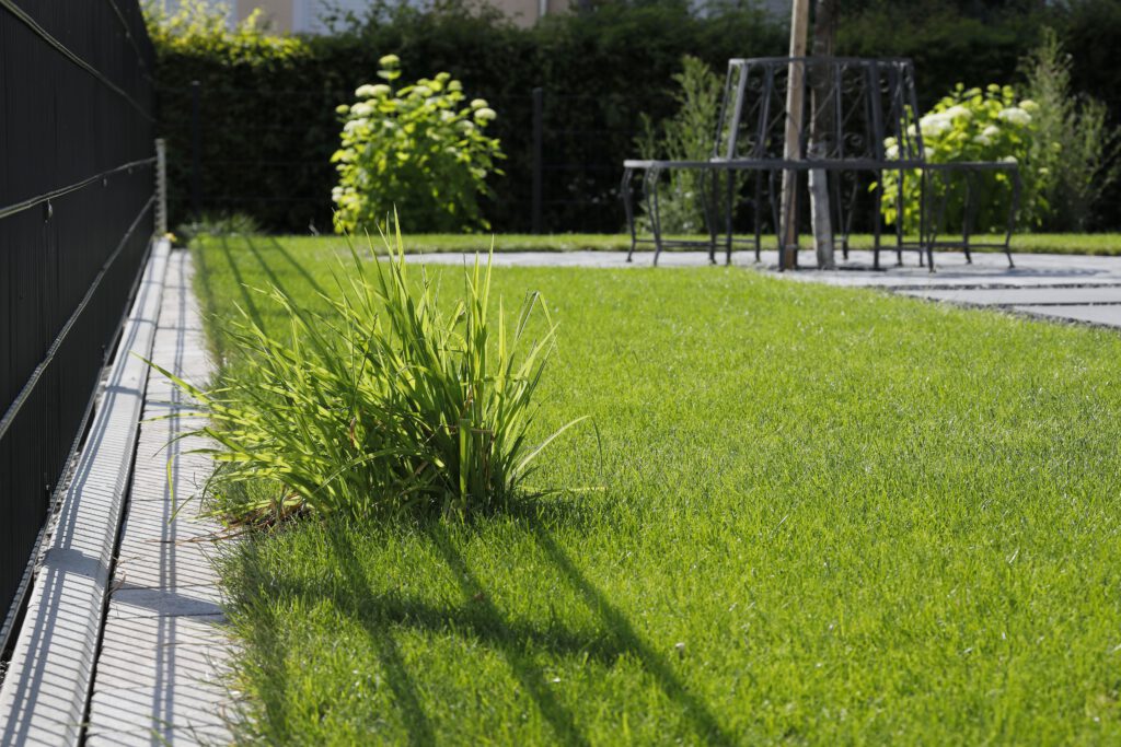 Da Silva_Sunthaimstrasse_22